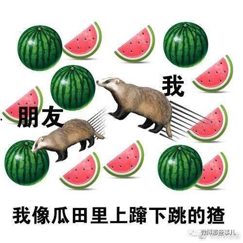 娱乐大晨吃瓜